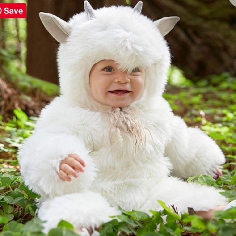 Pottery Barn Goat Costume